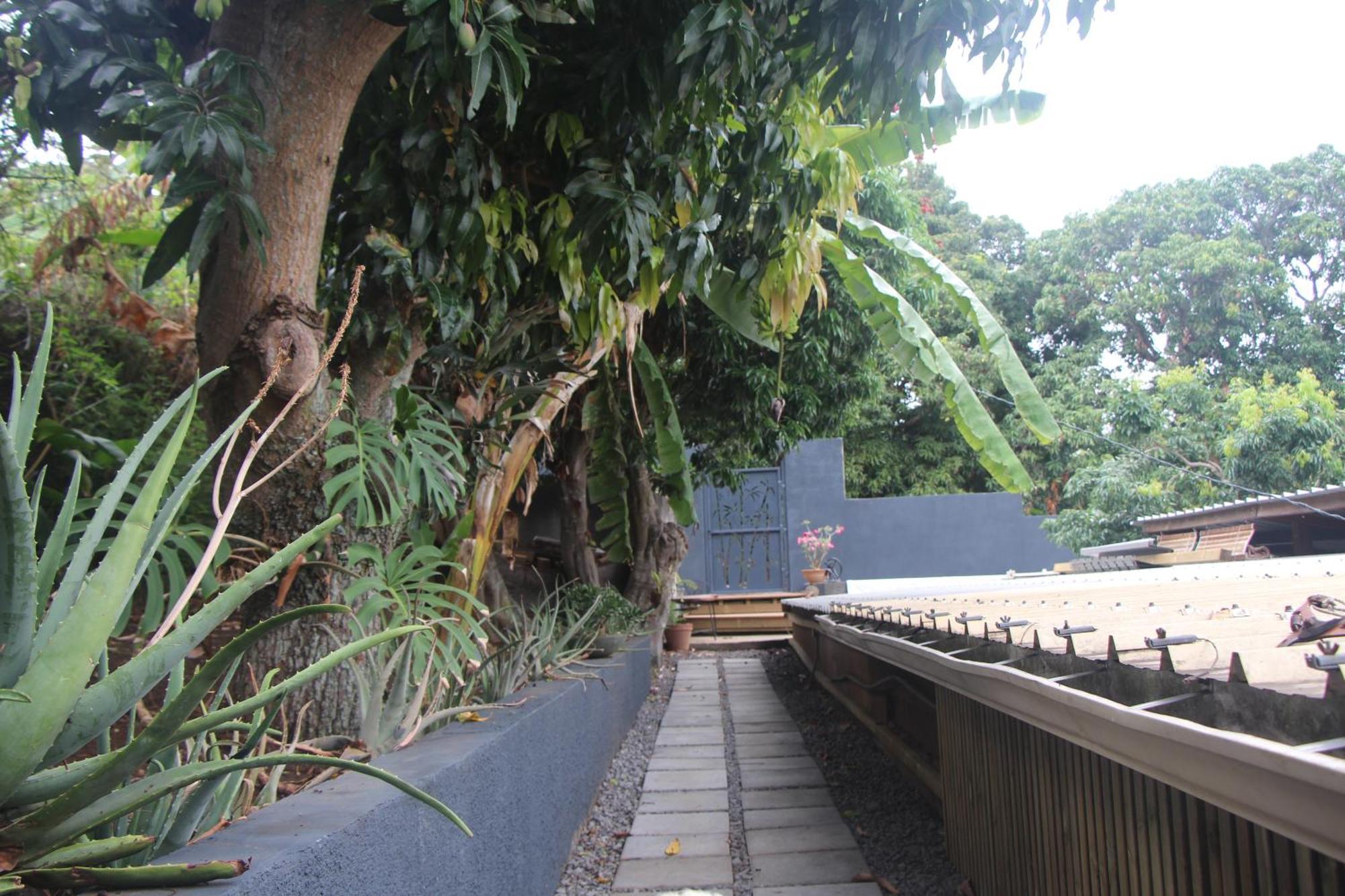 La Liane De Jade 974-Lodge Le Palissandre - Jacuzzi Privatif - Piscine Chauffee Le Bois de Nefles  Экстерьер фото